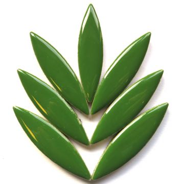 Ellipse: H141 Eucalyptus: 8 tiles