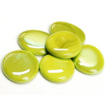 XL Kiwi Opalescent: set of 6