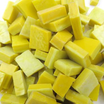 Yellow #2 (307A)
