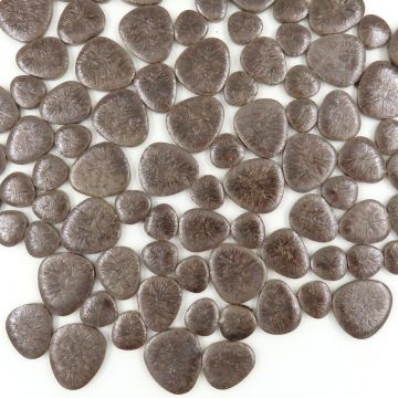 Wood Ear Z16 (loose) disc