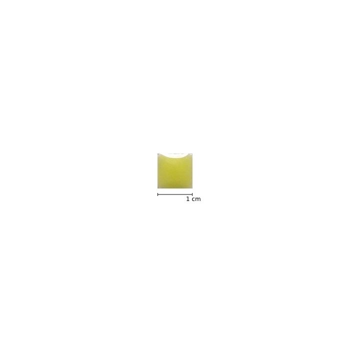 Citrus Yellow H71 Citrus Yellow H71