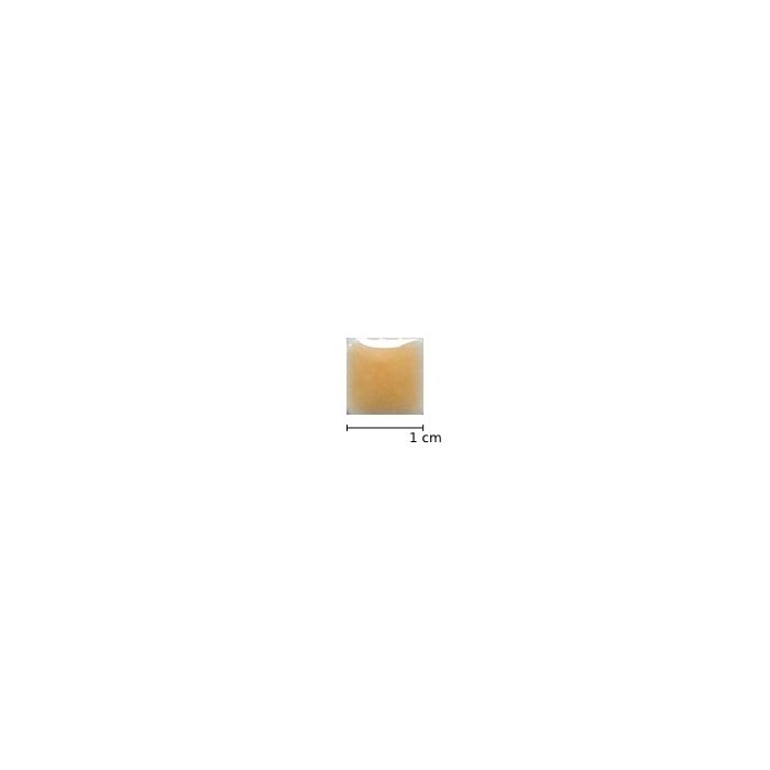 Yellow Pepper H102 Yellow Pepper H102