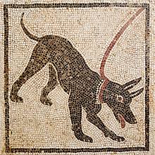 What is Mosaic?